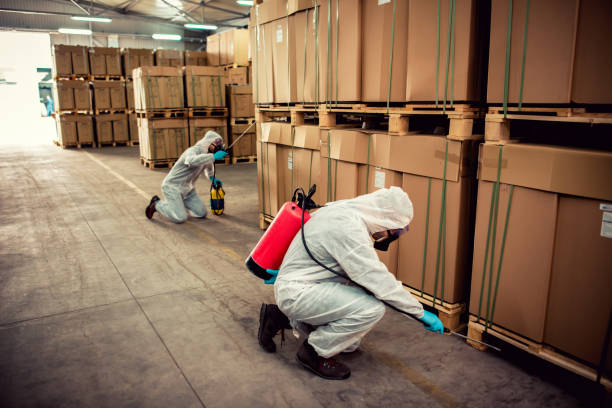 Best Bed Bug Extermination  in Cypress Lake, FL