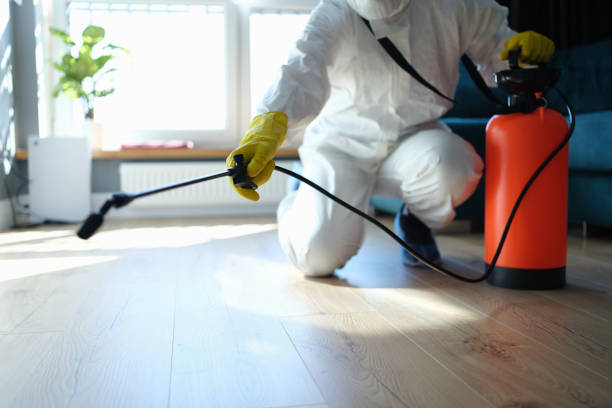 Professional Pest Control in Cypress Lake, FL