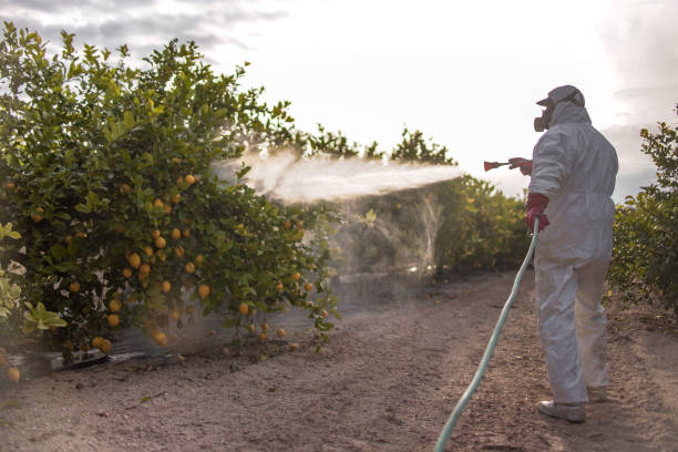 Best Ant Control Services  in Cypress Lake, FL