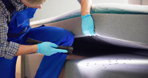 Best Pest Control Near Me  in Cypress Lake, FL