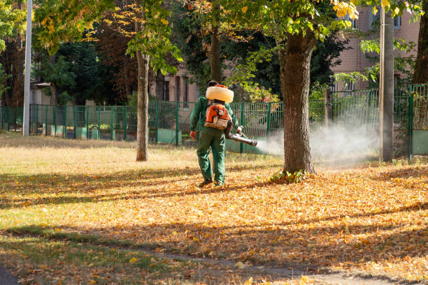 Best Commercial Pest Control Services  in Cypress Lake, FL