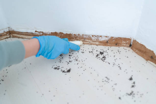 Best Pest Prevention Services  in Cypress Lake, FL